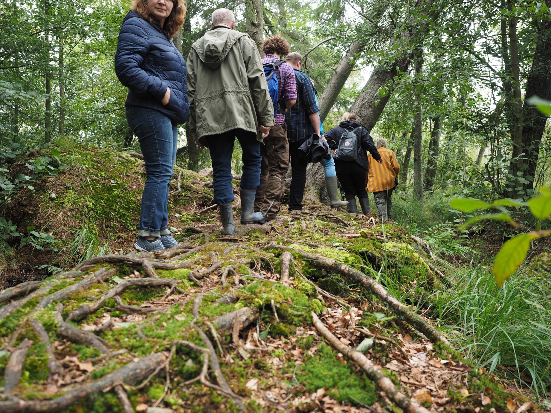 Stodthagener Wald